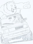  bear canine car chubby drive size_difference ukabor 