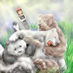  blush chubby female fur grizzly_bear hair human male mammal panda playing polar_bear unknown_artist wrestling 