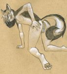  anthro anus balls canine dog husky looking_back male mammal nude presenting raised_tail solo tush 
