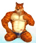  anthro balls beast biceps body_markings brown_fur brown_nose bulge claws clothing erection feline fur green_eyes iceman1984 kneeling looking_at_viewer male mammal markings muscles nipples nude orange_fur pecs penis plain_background pose precum presenting red_fur solo speedo stripes swimsuit tiger tongue topless underwear whiskers white_background white_fur 