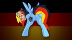  anus equine friendship_is_magic germany horse merkeldash my_little_pony pony presenting pussy rainbow_dash_(mlp) 