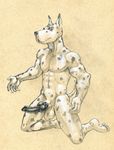  animal_genitalia anthro balls biceps big_penis body_markings canine canine_penis dog erection fur great_dane harlem_(character) kneeling knot looking_at_viewer male mammal markings muscles nude pecs penis pose presenting sheath sketch solo spots spread_legs spreading tush vein 