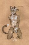  cat collar cum cum_everywhere cum_on_chest cum_on_face cum_on_leg cum_on_stomach cum_on_tail cum_on_tongue dripping erection feline humanoid_penis male mammal messy penis poking_out precum thong tongue tongue_out topless tush 