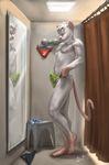  anthro balls biceps briefs bulge claws curtains dressing_room erection eyewear fur glasses grey_fur grey_hair hair lion21 male mammal mirror mouse muscles nipples pecs penis pink_nose pose red_eyes rodent slender solo standing teeth thong toe_claws topless underwear white_fur white_hair 
