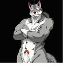  animated anthro balls biceps big_muscles black_nose blush canine crossed_arms dripping erection flaccid fur grey_fur hair male mammal morenatsu muscles nipples nude pecs penis pose precum pubes scar solo standing tailwag ten_kodori unknown_artist vein wolf yellow_eyes 