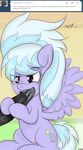  cloudchaser freefraq friendship_is_magic my_little_pony tagme 