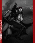  batman batman_(series) bloodfart catwoman dc 