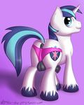  friendship_is_magic my_little_pony shining_armor tagme 