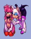  amy_rose namelessenemy rouge_the_bat sonic_team tagme 