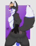  absurd_res animal_genitalia animal_penis anthro backsack balls butt canid canine canine_genitalia canine_penis femboy fox genitals hi_res male mammal penis pokusa presenting presenting_hindquarters raised_tail rear_view solo spread_butt spreading tail whippedmint 