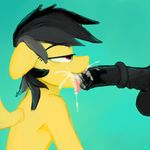  daring_do friendship_is_magic hladilnick my_little_pony tagme 