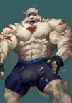  anthro body_hair bulge chest_hair clothed clothing feline goroguro hat male mammal muscular muscular_male open_mouth pecs solo standing tight_clothing topless torn_clothing 