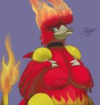  magmar pdxyz porkyman tagme 