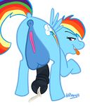  chubbyjam friendship_is_magic my_little_pony rainbow_dash tagme 