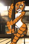  breasts dreamworks feline female kung_fu_panda mammal master_tigress pole pussy tiger unknown_artist 