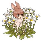  animal_ears barefoot brown_eyes brown_hair bunny_ears flower original personification rui_(veranda) short_hair solo 