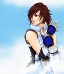  brown_eyes brown_hair fingerless_gloves gloves hybrid_cat kazama_asuka short_hair tekken 