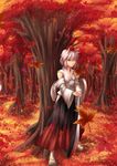  absurdres animal_ears autumn detached_sleeves forest geta grass hat highres inubashiri_momiji japanese_clothes leaf nature red_eyes short_hair solo sukocchi sword tail tokin_hat touhou tree weapon white_hair wolf_ears wolf_tail 
