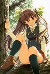  absurdres ahoge black_legwear brown_eyes brown_hair copyright_request hair_ribbon highres in_tree kneehighs long_hair odawara_hakone open_mouth orange_eyes panties pantyshot pantyshot_(sitting) ribbon school_uniform shoes sitting sitting_in_tree socks solo tree underwear 