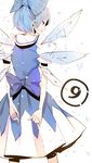  1girl arms_behind_back bad_id bad_pixiv_id blue_hair cirno from_behind ice ice_wings kyer short_hair solo touhou wings 