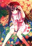  absurdres autumn autumn_leaves between_legs blush brown_hair dress from_above fumio_(ura_fmo) hand_between_legs hand_on_forehead highres huge_filesize leaf legs long_hair long_legs looking_at_viewer looking_up maple_leaf one_side_up original red_eyes scan sitting smile solo tareme tree_shade 