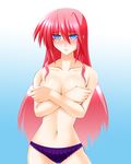  blue_eyes blush breasts covering covering_breasts engo_(aquawatery) hair_down highres large_breasts long_hair lyrical_nanoha mahou_shoujo_lyrical_nanoha mahou_shoujo_lyrical_nanoha_a's panties pink_hair signum solo topless underwear underwear_only 