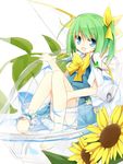  ankle_ribbon barefoot blue_eyes blue_skirt bow cup daiyousei fairy_wings flower green_hair hair_bow hair_ornament hairclip in_container in_cup minigirl open_mouth ribbon shirt short_sleeves side_ponytail sitting skirt smile solo sunflower touhou water wings yuuhagi_(amaretto-no-natsu) 