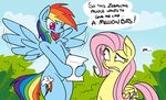  anthro anthrofied blue_eyes bush cloud clouds cutie_mark email_scam english_text equine excited female feral fluttershy_(mlp) friendship_is_magic frown hair horse mammal multi-colored_hair my_little_pony outside pegasus pink_hair pony purple_eyes rainbow_dash_(mlp) rainbow_hair reiduran sky smile standing text wings 