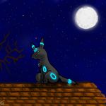  eeveelution glowing moon night nintendo pcred566 pok&#233;mon pok&eacute;mon rooftop shiny_pok&#233;mon tree umbreon video_games 