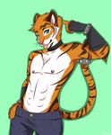  collar feline geekidog male mammal nipple_piercing nipples piercing pink_nose solo tiger topless 