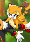  fellatio female male marine_the_raccoon mobius_unleashed oral oral_sex palcomix sega sex shadow sonic_(series) straight unknown_artist 