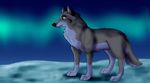  balto balto_(film) brown_eyes brown_fur canine cool_colors eyes feral fur ionday male mammal snow solo wolf 