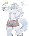  anthro bandage biceps black_nose blue_fur blue_hair canine clothing fangs flexing footwear fur gloves grey_fur grin hair looking_at_viewer male mammal muscles nipples pads pecs pose red_eyes scar shorts simatukasa_(pixiv) sketch smile solo standing teeth topless unknown_artist wolf 
