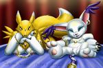  anthro blue_eyes breasts canine clitoris couple david_siegl digimon duo female fox gatomon lying mammal necklace nipple_piercing nipples on_front piercing plain_background pussy reclining red_background renamon sitting tattoo toe_ring toering 