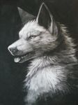  ambiguous_gender black_and_white canine charcoal falvie greyscale mammal monochrome shading tongue 