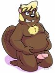  beaver black_nose blonde_hair blue_eyes bravo chubby hair kneeling male mammal nude overweight penis rodent solo 