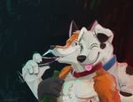  2009 alcohol beverage blue_eyes canine collar cute dog drinking floppy_ears fox fur invalid_background keto male mammal one_eye_closed orange_fur perky_ears tongue white_fur wine 