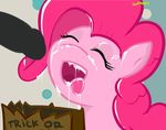  cum cum_in_mouth cum_inside cum_on_face english_text equine eyes_closed female feral friendship_is_magic fur hair horse mammal my_little_pony open_mouth oral penis pink_fur pink_hair pinkie_pie_(mlp) pony swfpony text tongue 