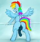  friendship_is_magic hladilnick my_little_pony rainbow_dash rule_63 