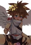  kid_icarus pit tagme 