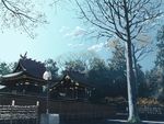  day isou_nagi morning no_humans original real_world_location scenery shrine sky tree 