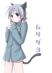  animal_ears blush cosplay eila_ilmatar_juutilainen eila_ilmatar_juutilainen_(cosplay) gaki green_eyes no_pants sanya_v_litvyak short_hair silver_hair solo strike_witches tail uniform world_witches_series 