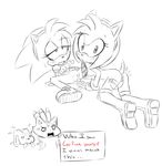  amy_rose blaze_the_cat cream_the_rabbit hearlesssoul sonic_team 