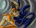  alien grriva predator xenomorph yautja 