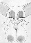  excito rouge_the_bat sonic_team tagme 