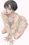  levi shingeki_no_kyojin tagme 