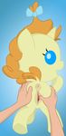  friendship_is_magic my_little_pony ohohokapi pumpkin_cake tagme 