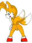  jetfrozen sonic_team tagme tails 
