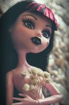  draculaura inanimate monster_high tagme toy 