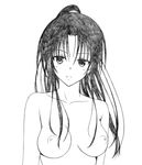  rin_kujou tagme to_love-ru 